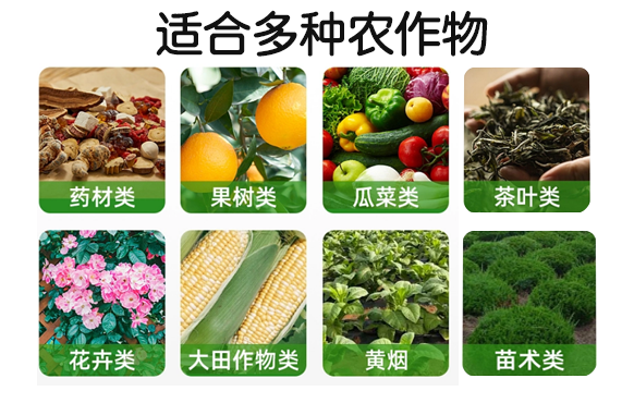 水溶肥：植物生长的养分秘密