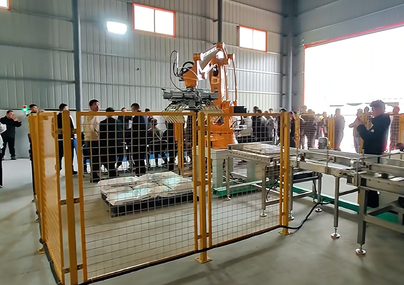 年产10万吨以上粉剂水溶肥设备